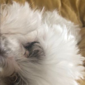 Meet your Posher, Karen